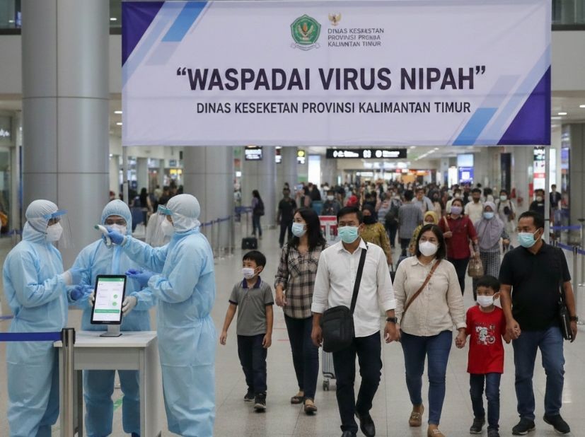 Dinkes Kaltim Tegaskan Belum Ada Kasus Nipah, Pengawasan Tetap Diperketat